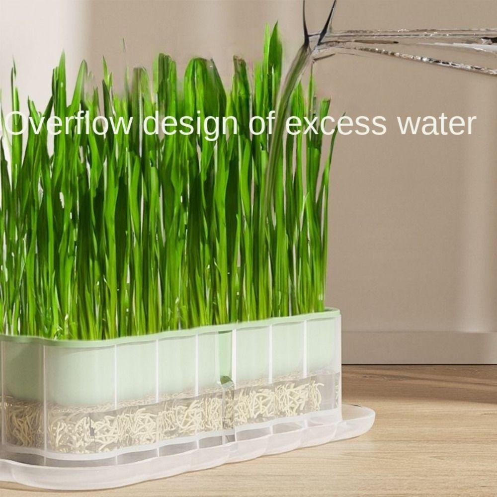Sprout Planting Helper Hydroponic Sprouting Plate Soilless Cultivation Cat Grass Dish