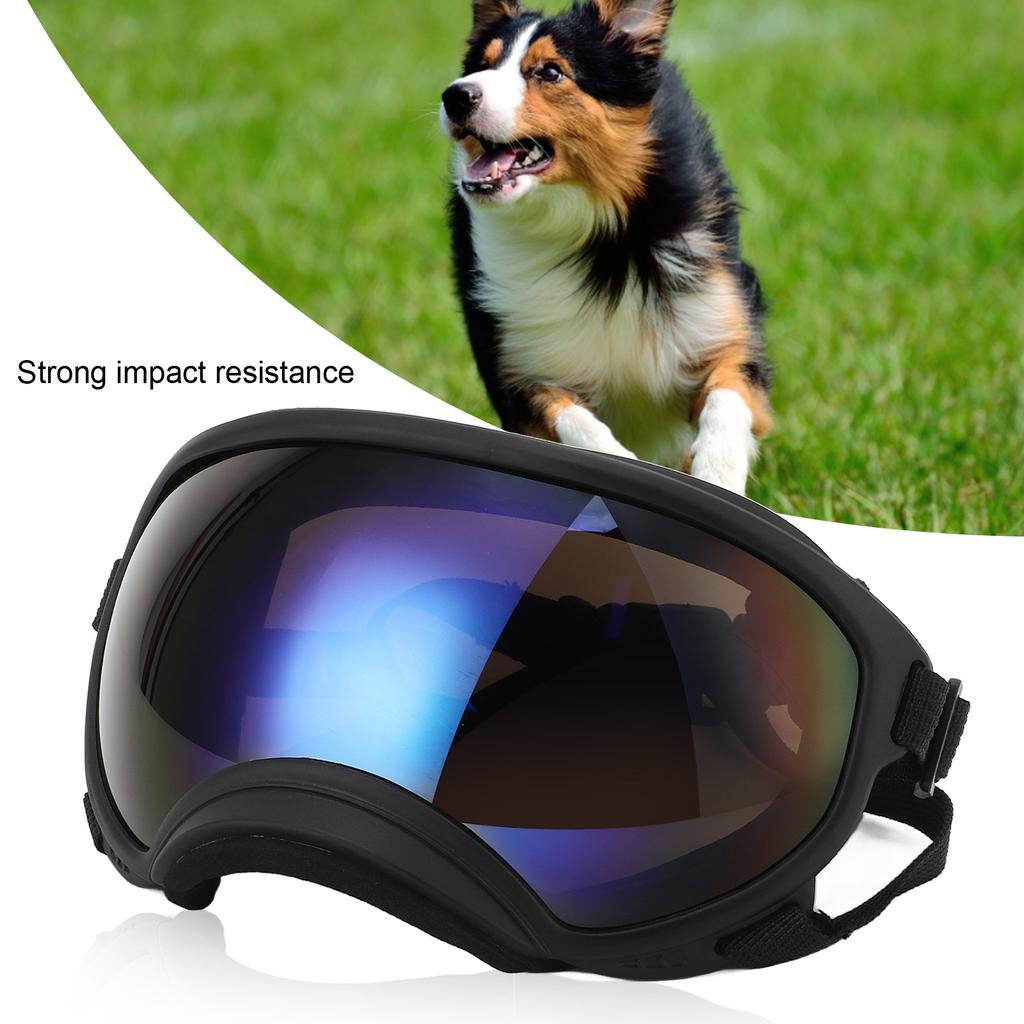 Hundebrille Anti-UV Starke Schlagfestigkeit Verstellbar Elastisch Große Rasse Hund Brille Haustier Sonnenbrille Blaue Brille