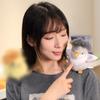 Cute Magnetic Shoulder Perch Bird Plush Canary Kiwi Doll Ornament 13cm Desk Decor