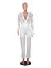 Elegant V-Neck Lace Slim Fit See-Through Jumpsuit