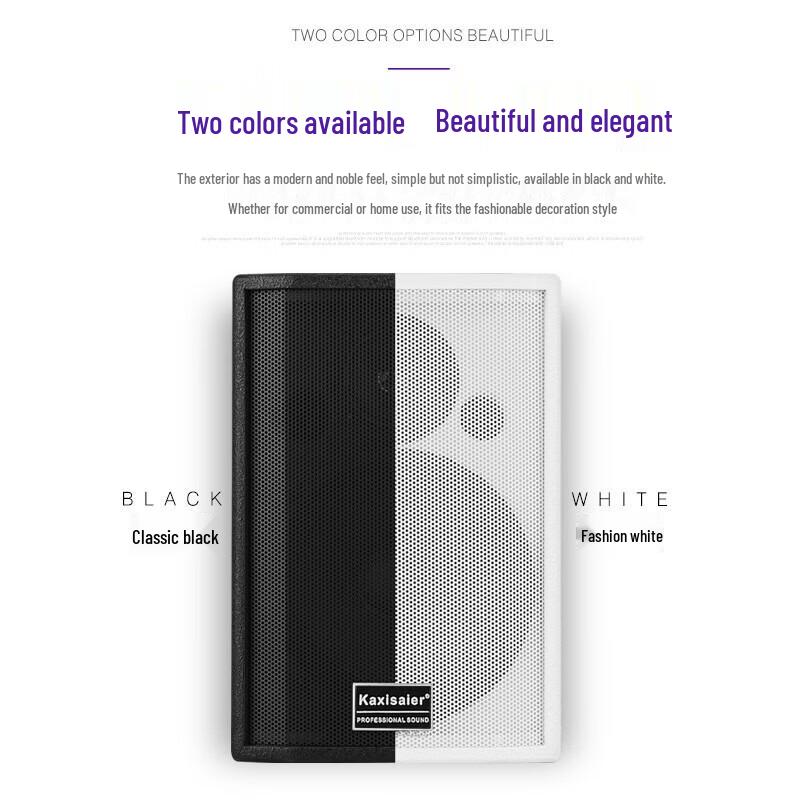 KAXISAIERS80 S80 8-inch Passive Conference Speaker CN Plug (adapter Included)