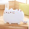 40 X 30cm Kawaii Biscuit Cat Plush Doll Toys Cute Happy Cat Plush Pillow Toys Cushion For Home