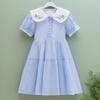 Toddlers Dresses for Girls Children's Dress Summer Kids School Costumes Short Sleeve Casual Princess Dress