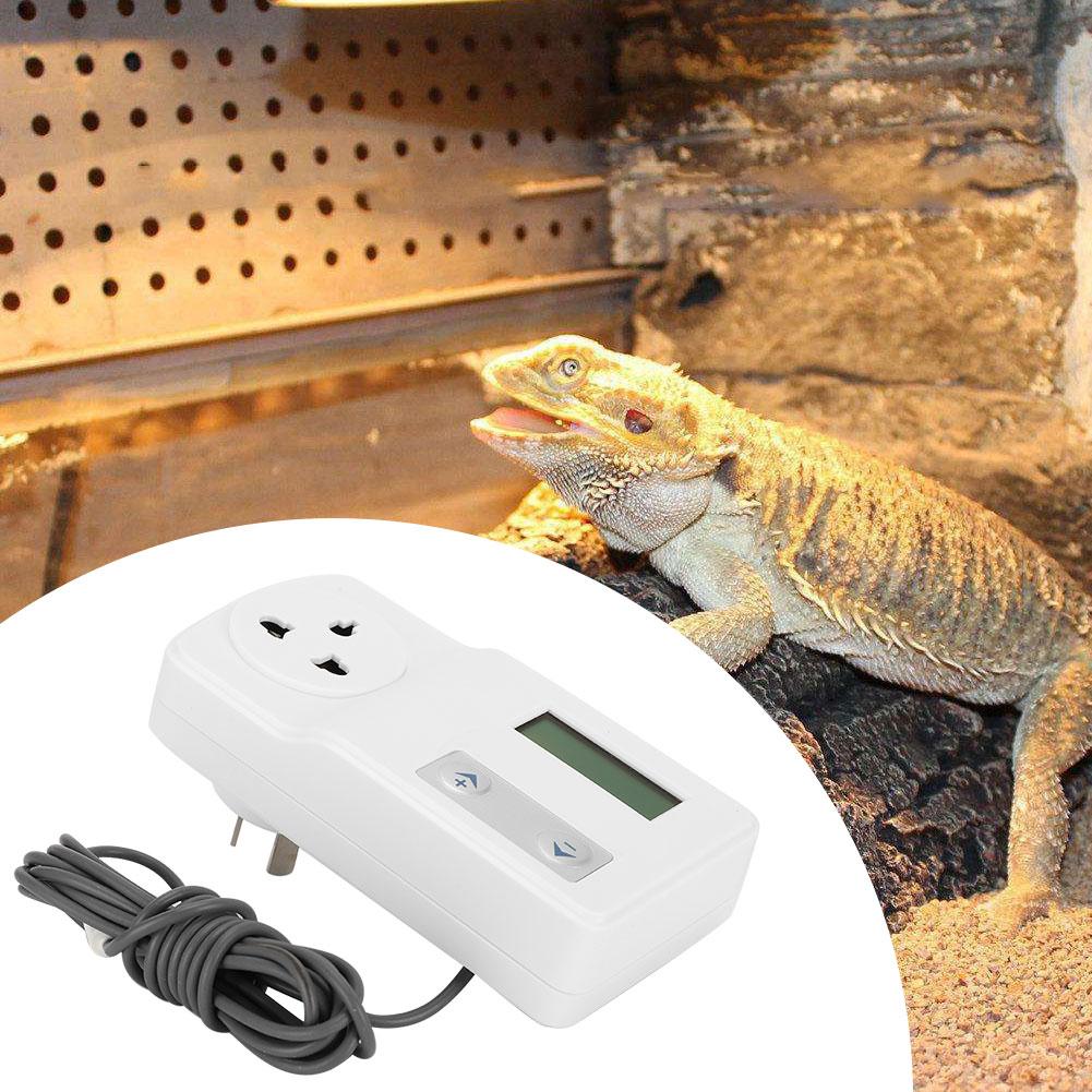 lizard thermostat