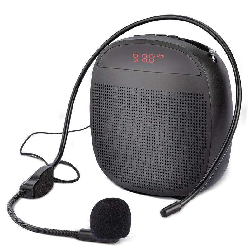 Alto-falante Sem Fio Portátil Little Bee com Microfone de Lapela para Professores e Eventos de Dança