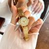 Oval Steel Belt Fashionable Exquisite High Sense Waterproof Quartz Watch, Versatile Student Watch High Value Watch Women