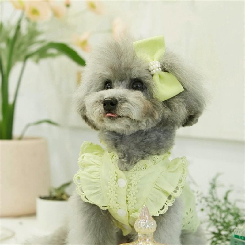 Lace Princess Dress With Headband Small Dogs Cats Teddy Bichon Pet Clothing