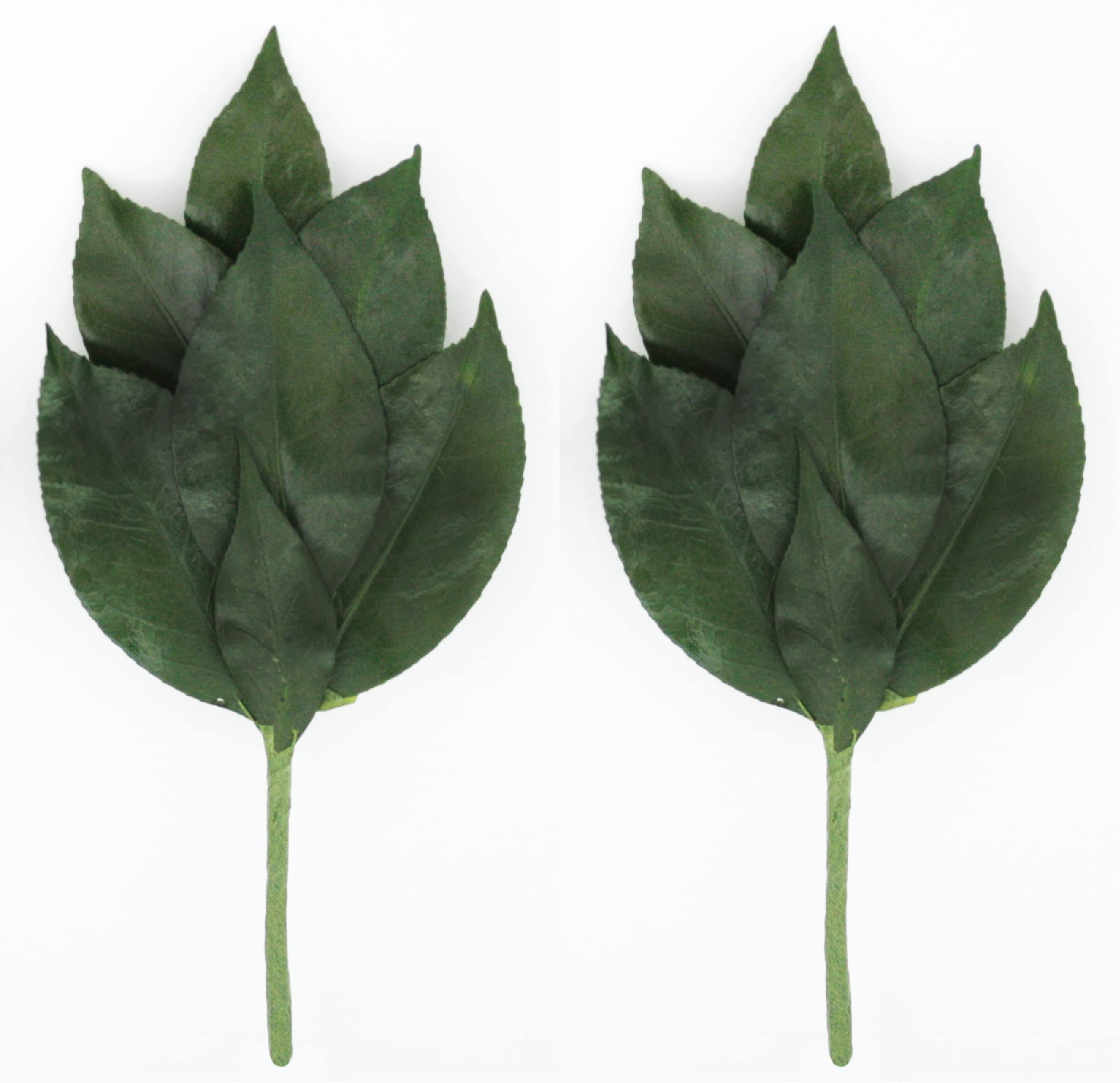 

[A&K] Affordable Sakaki SS Trees that Won t Rot Even in the Heat. Made with Natural Japanese Sakaki Trees and Camellia Leaves. Heat-Resistant, No