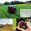 Shizuoka deep-steamed tea Daichi no Uta Makinohara brand Nozomi silver seal covered kabuse Japanese sencha 100g