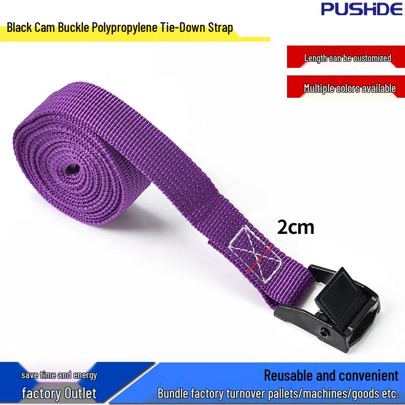 Zinc Alloy Cam Buckle Polypropylene Strap for Cargo Tie-Down