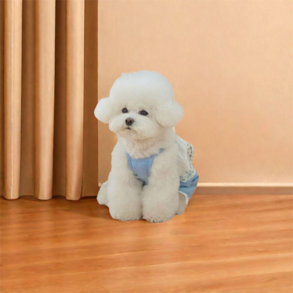 Breathable Pet Overalls Fashion Dog Pajamas Pet Supplies Pet Lace Jumpsuit Autumn