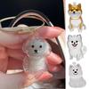 Transparent Dog Hair Storage Box Pet Fur Keepsake Capsule For DIY Crafts Memorial Gift For Pet Lover Home Display Handmade Decor