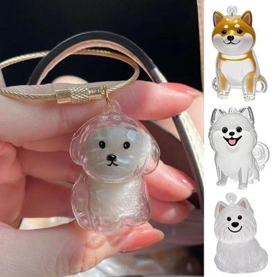 Transparent Dog Hair Storage Box Pet Fur Keepsake Capsule For DIY Crafts Memorial Gift For Pet Lover Home Display Handmade Decor