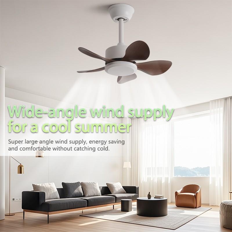 22" Household Electric Ceiling Fan with Hook 3/5 Blades & LED Lighting Fan Silent DC Motor & Energy Saving Fan