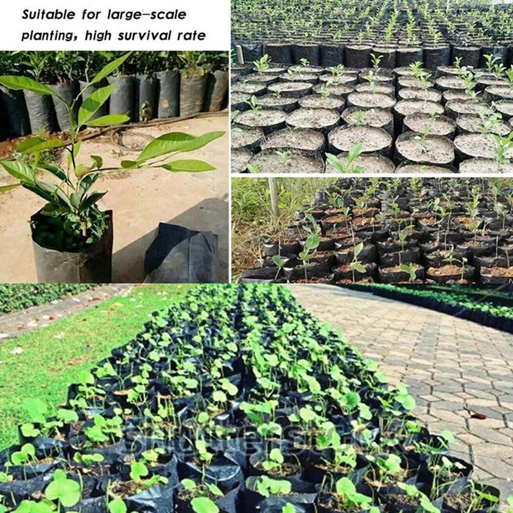 20pcs Thickened Plant Pe Seedling Bag Seedling Bag Green Garden With Ventilation Holes Fruit Tree Plant Bonsai Planting Bag