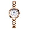 Niche Light Luxury Quartz Bracelet Watch Women'S Small Simple Waterproof Alloy Watch