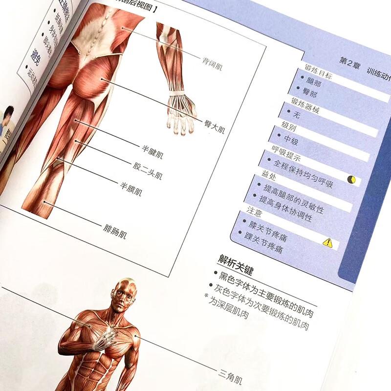 Strength and Conditioning Training Guidebook