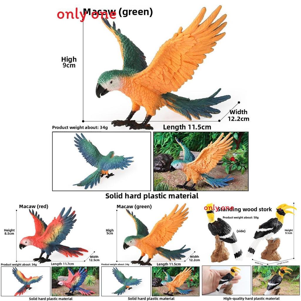 Realistic Parrot Figure Solid Plastic Animal Toy For Childrens Educational Room Decor