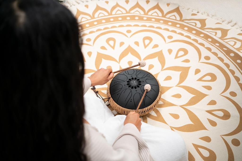 MEINL Sonic Energy Collection Medium Octave Steel Tongue B MOSTD1BK Storage Bag and Japanese Drum, Minor, 10-inch, Black, (Includes Mallets) [Official