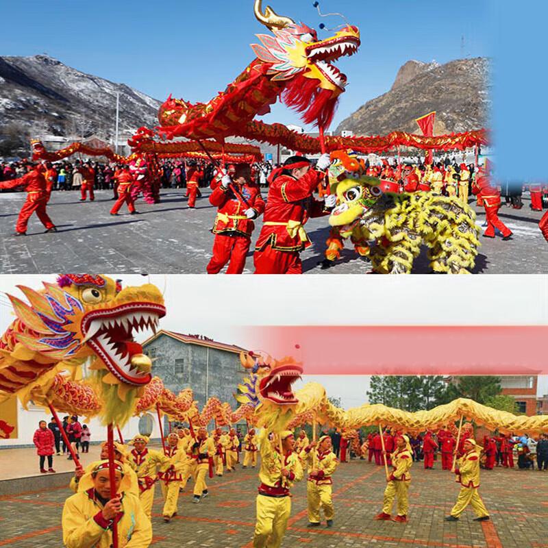 Professional 9-Section Gilded Dragon Dance Prop Set
