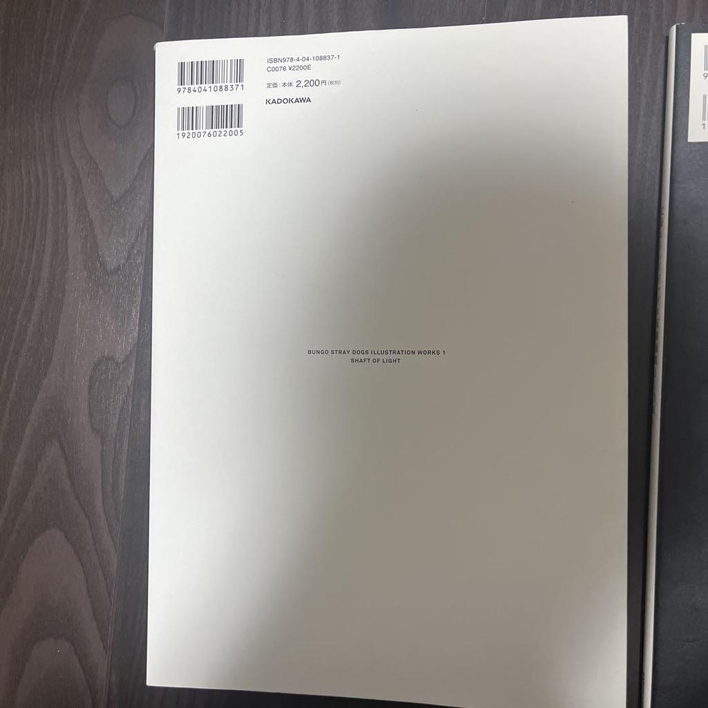[USED] Bungo Stray Dogs Art Book