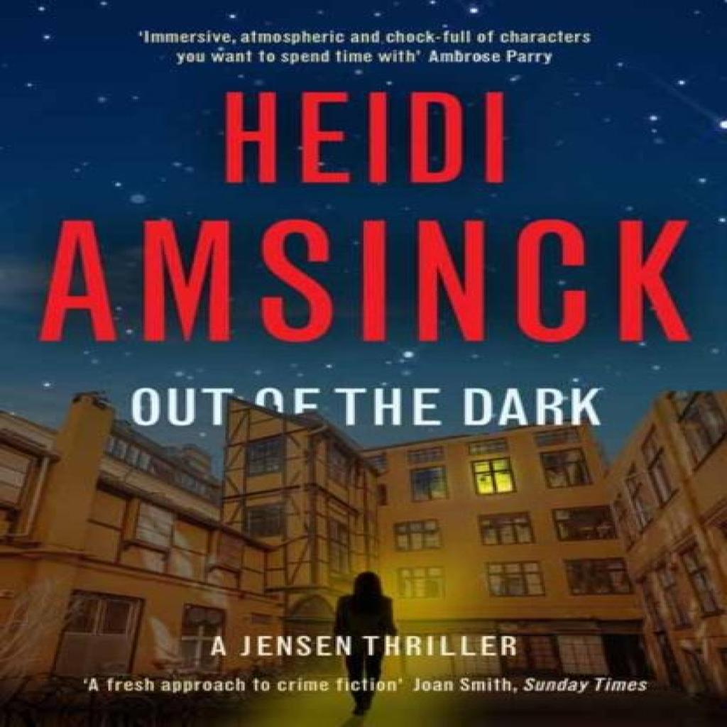 Out of the Dark by Heidi Amsinck Paperback Book 9781068684418