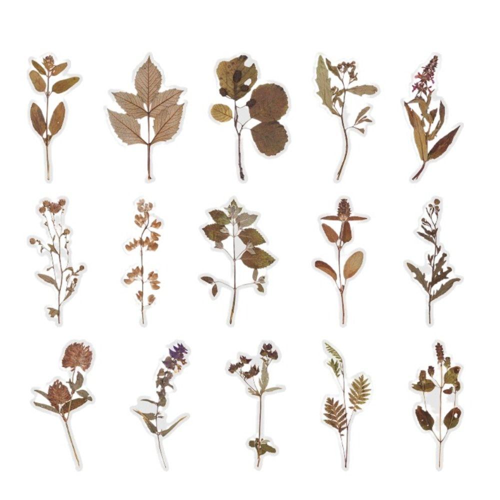 Leaf Flower Sticker Floral Stationery Envelope Sticker DIY Decorative Sticker  Diary Decoration