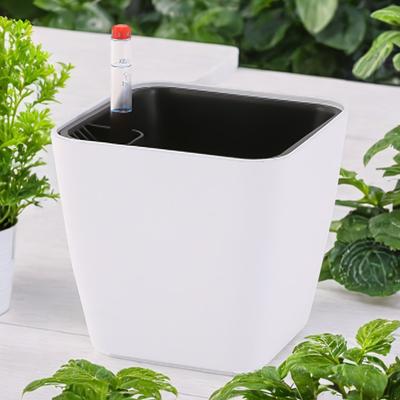 Self-absorbing Water Flower Pot Hydroponic Modern Plant Vase Home Self Watering Flowerpot for Home Decoration Garden Supplies