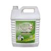 JINGRUIXIANG Bulk Dishwashing Liquid