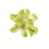 1/4 Pezzi Fiori Nuziali Hawaiani Fermagli per Capelli Barretta Bohemia Fiori di Canna Piccoli Clip per Capelli Per Accessori Capelli Matrimonio