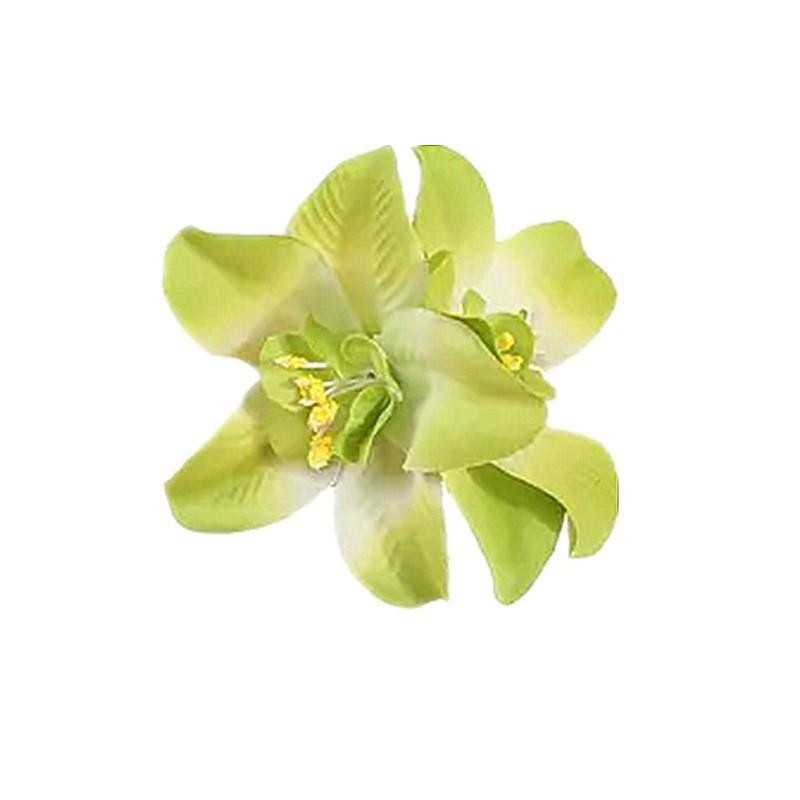 1/4 Pezzi Fiori Nuziali Hawaiani Fermagli per Capelli Barretta Bohemia Fiori di Canna Piccoli Clip per Capelli Per Accessori Capelli Matrimonio