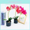 Simulated Phalaenopsis Potted Artificial Flower For Wedding Arrangements