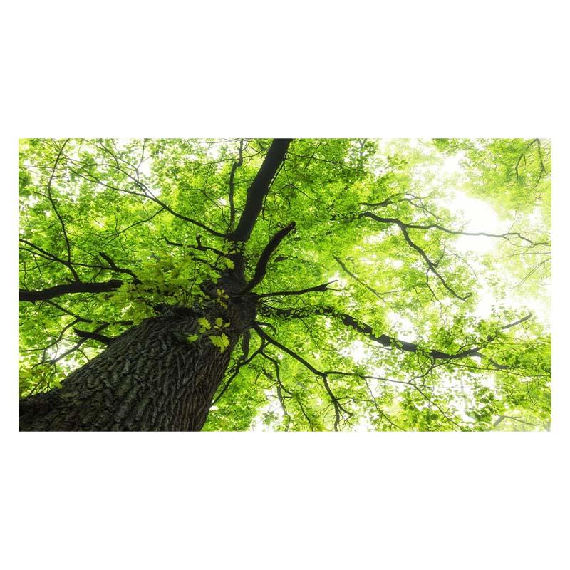 Водопад Живописный Мангровый Лес Пейзаж Холст Настенное Искусство Холст Картины Домашний — фото 15