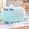 Biscuit Cat Pillow Meow Star Plush Toy