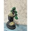 New Buddha Statue Under Tree | Home Figurine for Living Room, Gifting, Decor
