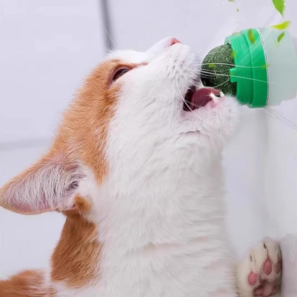 Catnip Ball Cat Rotating Toy  Teeth Cleaning  Bite-resistant  Fixed Cat Self-pleasure Licking Pet Supplies