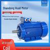 Shandong Huali Motor YE4 Series High Efficiency Three-Phase Asynchronous Motor 22kW/30kW