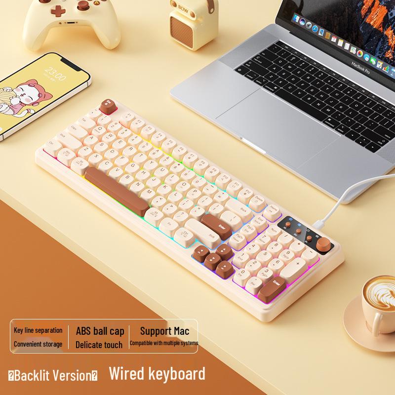 BOW Hangshi K520U Wired RGB Keyboard for Laptops & Desktops, Girls Typing Edition