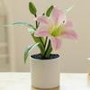 Fake Flower 3D Printing Film Small Lily Bonsai Creative Artificial Flower Interior Decoration Decoration Factory Simulation Pot