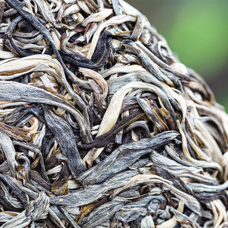 257g Yunnan Pu'er Tee Alter Banzhang Rohtee Gesundes Getränk