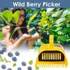Upgraded Blueberry Picker Berry Picker Rakes With Comb Teeth Lightweight Handle Large Capacity Harvest Season Garden Tool