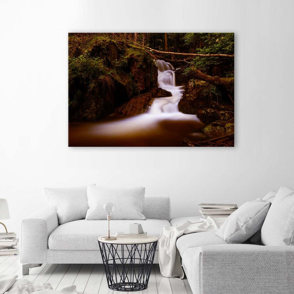 Canvas Print Mountain Stream Forest