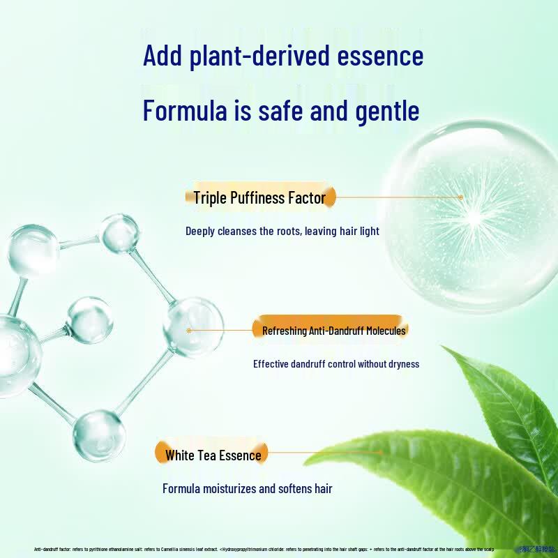 Rejoice Fluffy Anti-Dandruff Shampoo