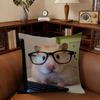 Funny Sad Hamster Emoticon Cushion Cover Pillowcase Upholstery Sofa Throw Pillow Home Decor Pillowcas