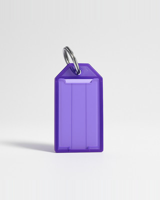 20Pcs Tough Plastic Key Tags with Split Ring Label Window Assorted Colors