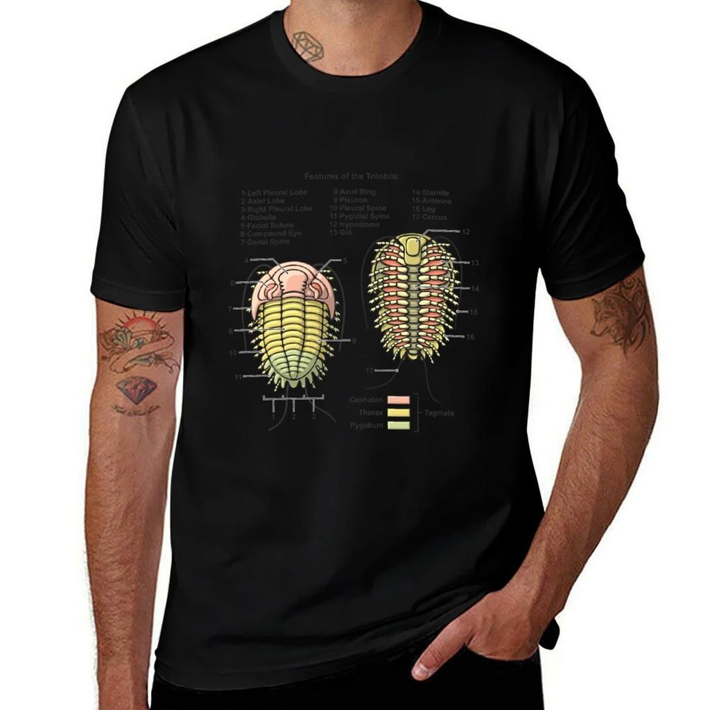 Trilobite Morphology Diagram T-Shirt Basic Solid Tee for Daily Use