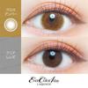 EverColor - LUQUAGE Endagslins Färg Gloss Amber 10 st