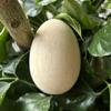Engravable Easter Eggs Wood Shaker Musical Instrument Wood Eggs Instruments for Kids Sensory Development and Play