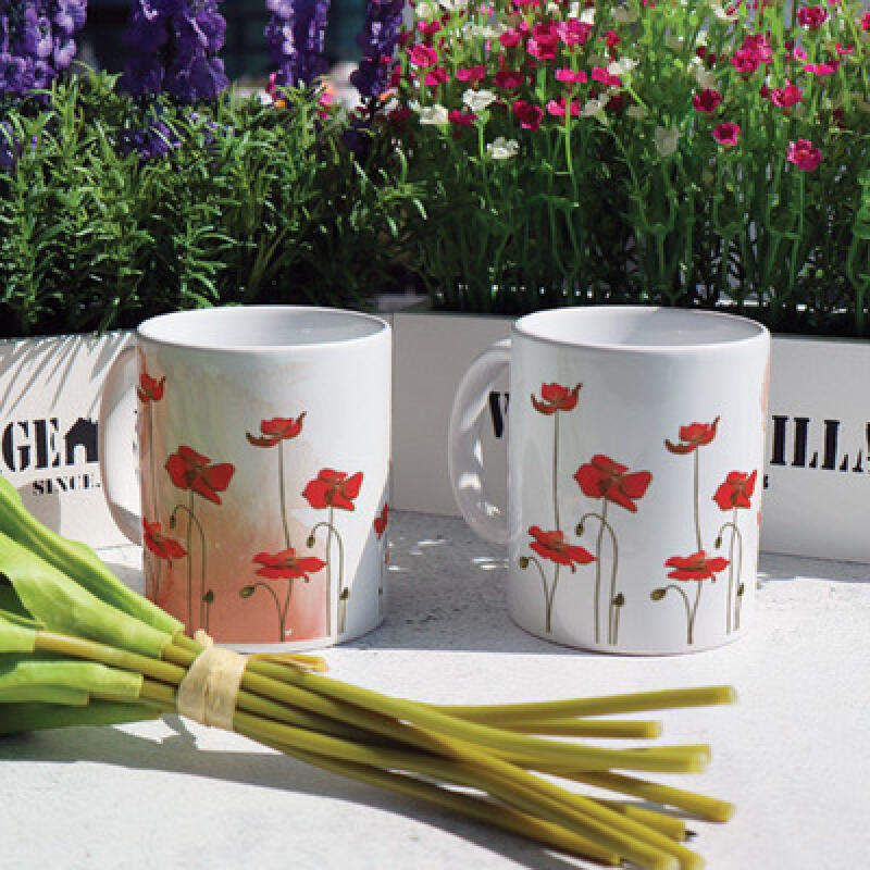 cb630-Design Mug 2p-Red Flower