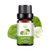 Rose Essential Oil - 10ML Aromatherapy Perfume Oil with 27 Fragrances